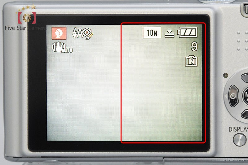 Panasonic LUMIX DMC-FX37 Digital Camera [Japanese Language Only] from Japan