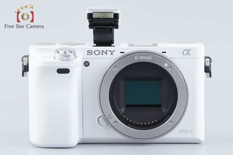 Sony α6000 ILCE-6000 24.3 MP 16-50 55-210 Lenses [Multiple Languages] from Japan