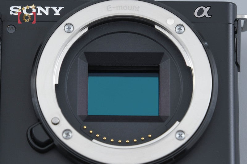 Sony α VLOGCAM ZV-E10 24.2 MP 16-50 Lens [Japanese Language Only] from Japan