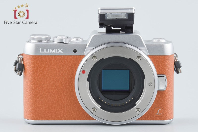 Panasonic LUMIX DMC-GF7 Brown 12-32 Lens [Japanese Language Only] from Japan