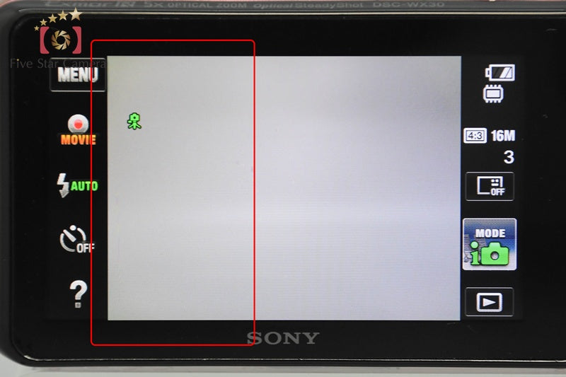 SONY Cyber-shot DSC-WX30 Pink Digital Camera [Japanese Language Only] from Japan