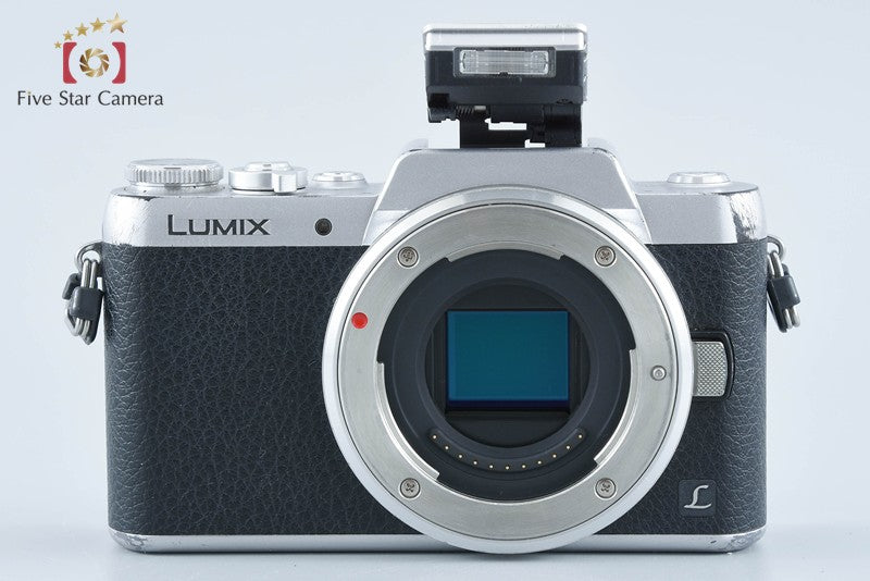 Panasonic LUMIX DMC-GF7 12-32 35-100 Lenses [Japanese Language Only] from Japan