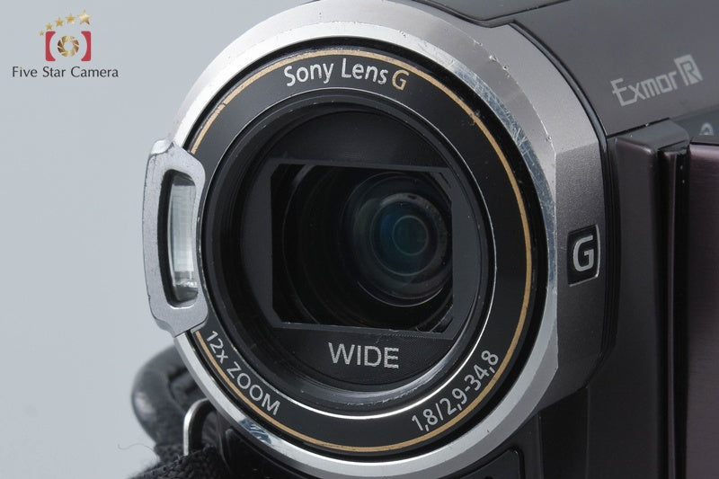Sony Handycam HDR-CX370V Full HD Camcorder [Japanese Language Only] from Japan