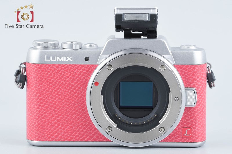 Panasonic LUMIX DMC-GF7 12-32 35-100 Lens [Japanese Language Only] from Japan