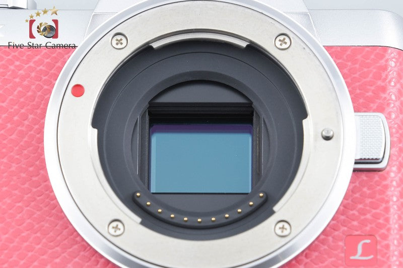 Panasonic LUMIX DMC-GF7 12-32 35-100 Lens [Japanese Language Only] from Japan