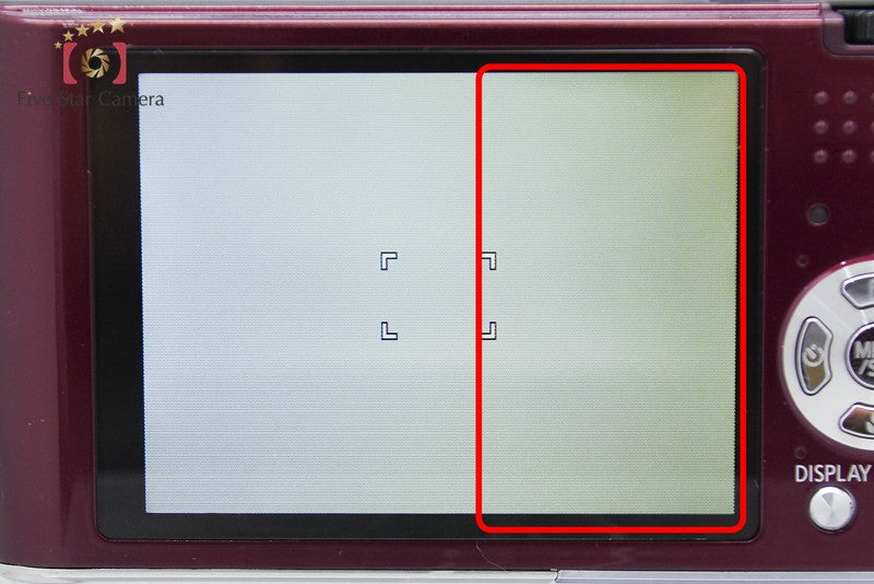 Panasonic LUMIX DMC-FX60 Digital Camera [Japanese Language Only] from Japan
