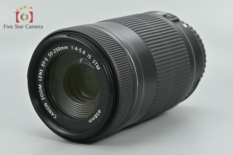 Canon EF-S 55-250mm f/4-5.6 IS STM
