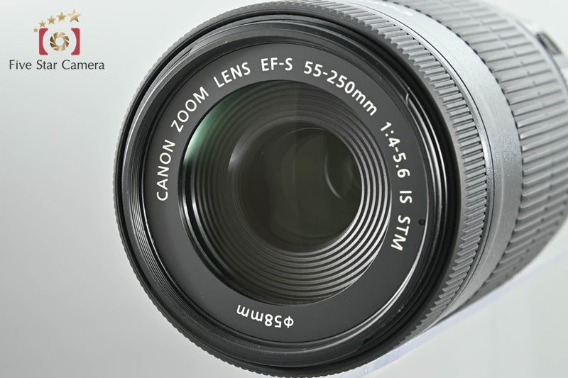 Canon EF-S 55-250mm f/4-5.6 IS STM