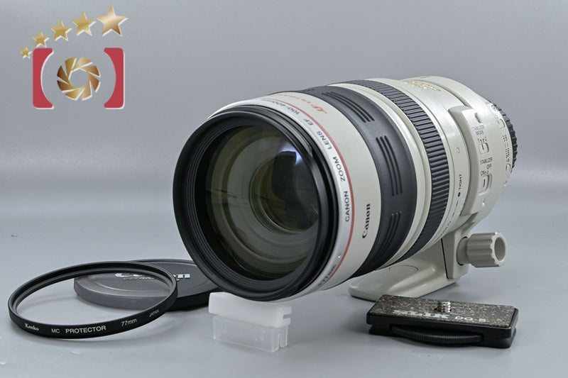 Canon EF 100-400mm f/4.5-5.6 L IS USM