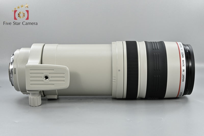 Canon EF 100-400mm f/4.5-5.6 L IS USM