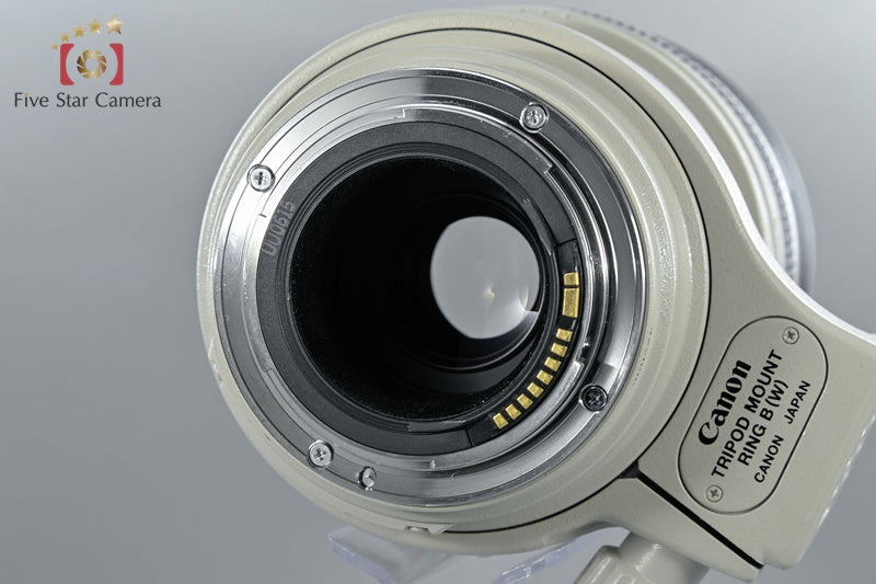 Canon EF 100-400mm f/4.5-5.6 L IS USM