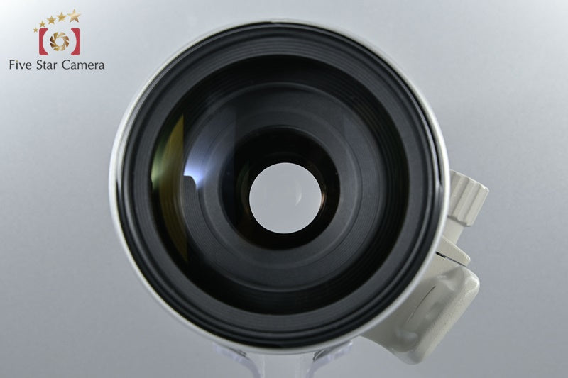 Canon EF 100-400mm f/4.5-5.6 L IS USM