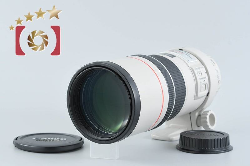 Canon EF 300mm f/4 L IS USM [Very Good]