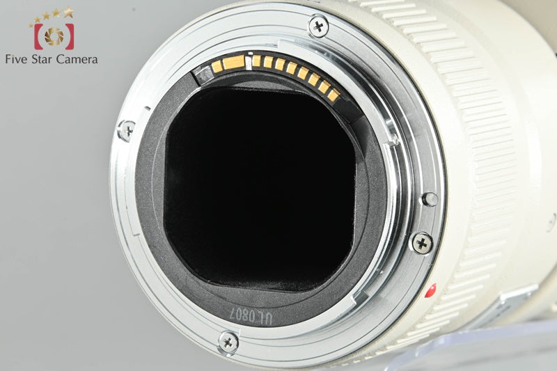 Canon EF 400mm f/5.6 L USM
