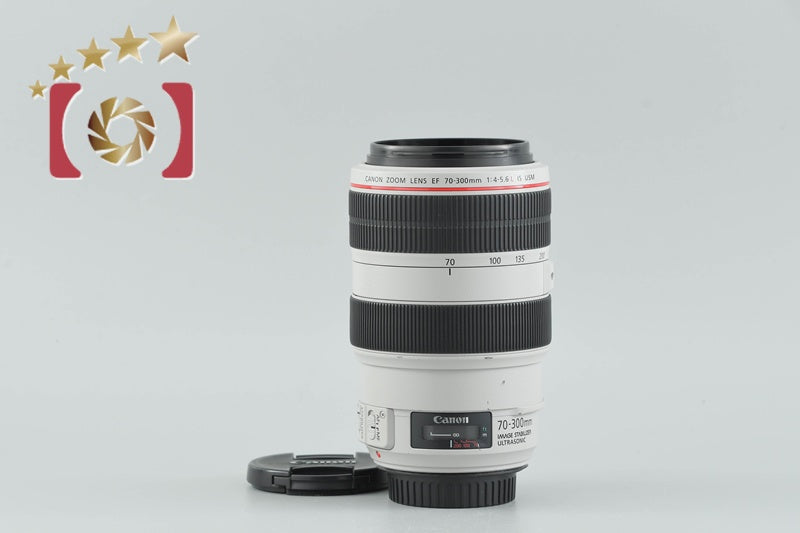 Canon EF 70-300mm f/4-5.6 L IS USM [Excellent]