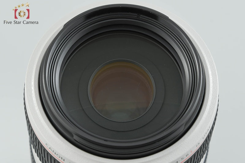 Canon EF 70-300mm f/4-5.6 L IS USM [Excellent]