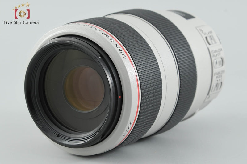 Canon EF 70-300mm f/4-5.6 L IS USM [Excellent]