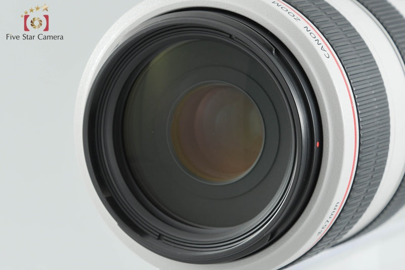 Canon EF 70-300mm f/4-5.6 L IS USM [Excellent]