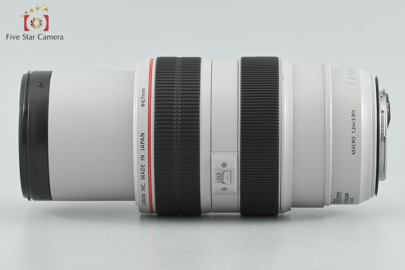 Canon EF 70-300mm f/4-5.6 L IS USM [Excellent]