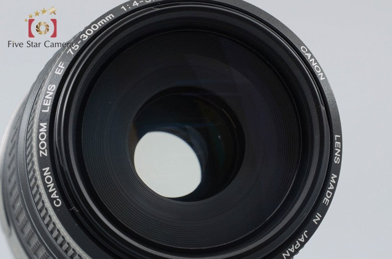 Canon EF 75-300mm f/4-5.6 IS USM