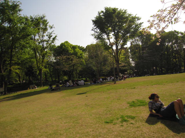 Canon IXY DIGITAL 510 IS