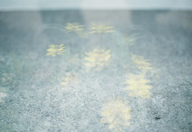 Canon EOS 7s + EF 50mm f/1.8 STM
