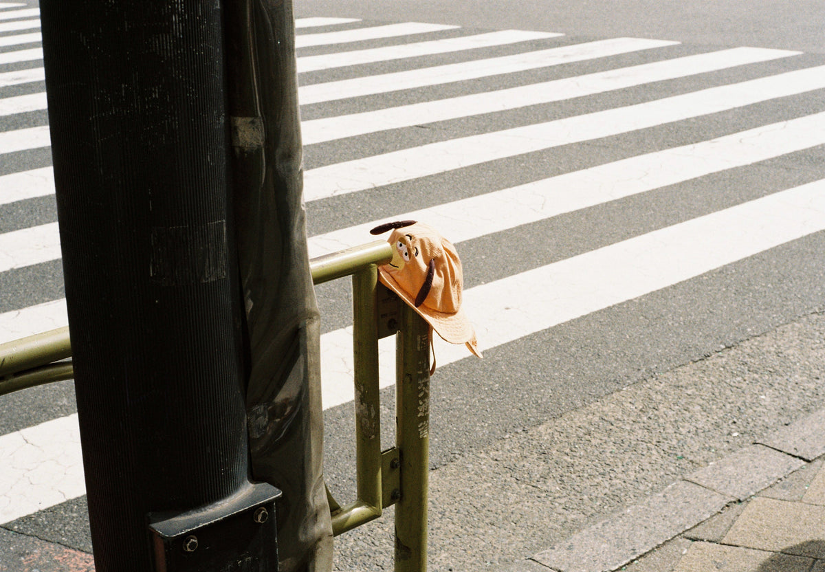 Leica M3 / Leica SUMMILUX-M 50mm f/1.4 E46