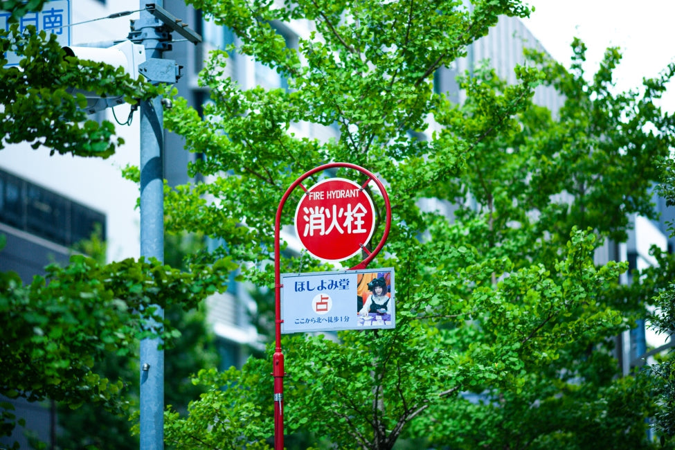 SONY a900 + SONY Carl Zeiss Sonnar 135mm f/1.8 ZA T*