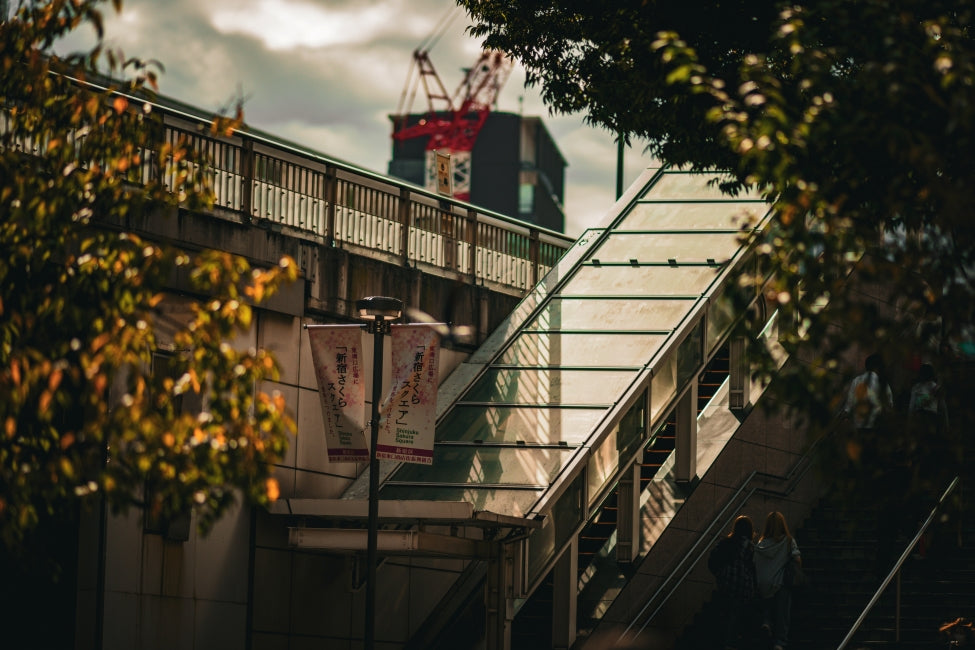 SONY a900 + SONY Carl Zeiss Sonnar 135mm f/1.8 ZA T*
