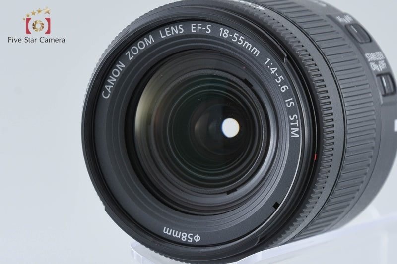 "Count 177" Canon EOS Kiss X9i / Rebel T7i / 800D 24.2 MP DSLR 18-55 Lens