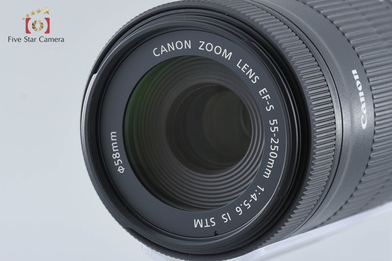 "Count 750" Canon EOS Kiss X8i / Rebel T6i / 750D 24.2 MP DSLR 18-55 55-250 Lens