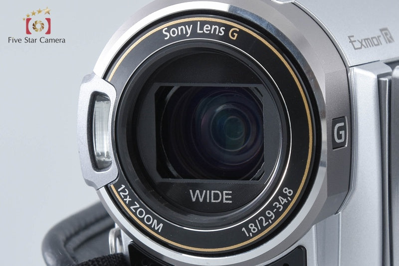 SONY HANDYCAM HDR-CX370V Silver Camcorder Japanese Only