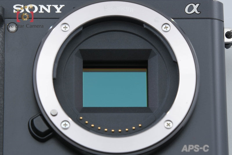 Sony Alpha α6000 ILCE-6000 Black Mirrorless camera [Japanese Language Only]