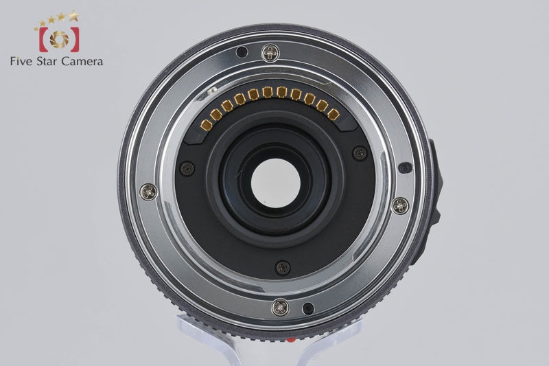 Panasonic LUMIX G VARIO 14-45mm f/3.5-5.6 ASPH. MEGA O.I.S. H-FS014045