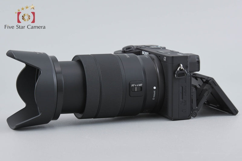 Sony α6600 ILCE-6600M 24.2MP Digital Camera 18-135 Lens [Japanese Language Only]