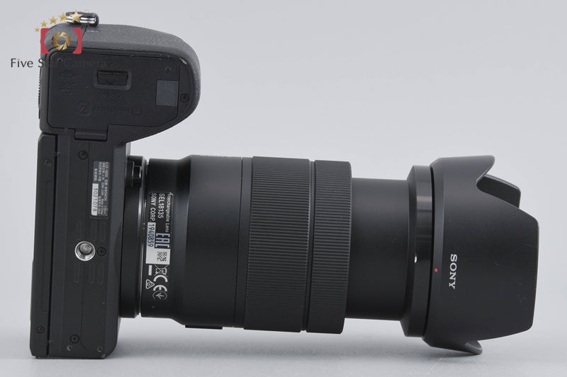 Sony α6600 ILCE-6600M 24.2MP Digital Camera 18-135 Lens [Japanese Language Only]