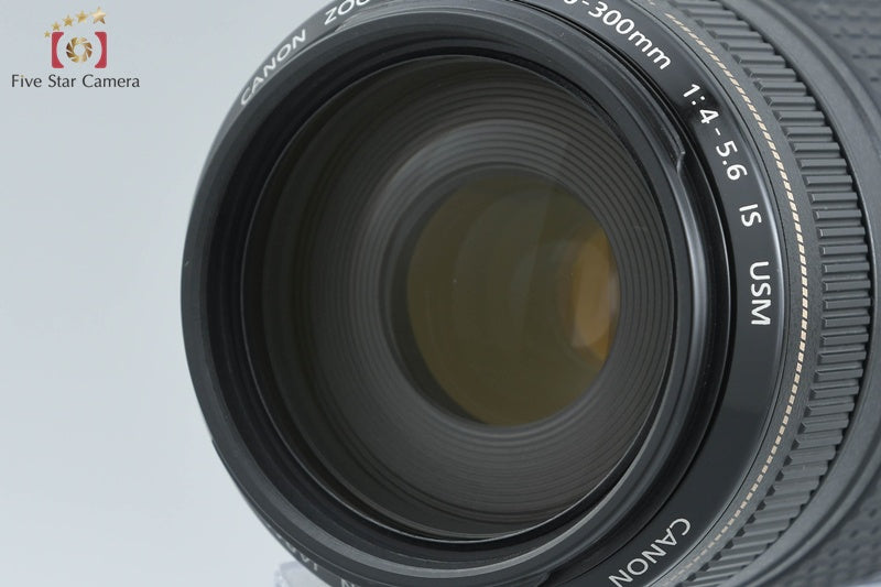 Canon EF 70-300mm f/4-5.6 IS USM