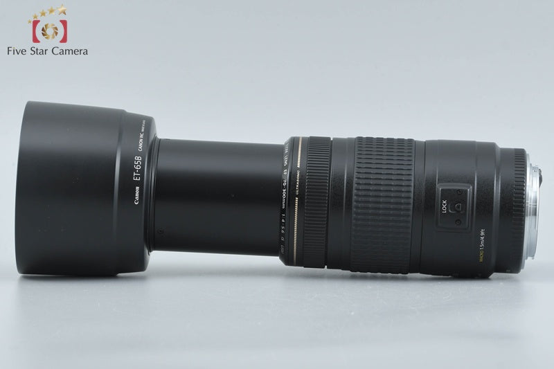 Canon EF 70-300mm f/4-5.6 IS USM