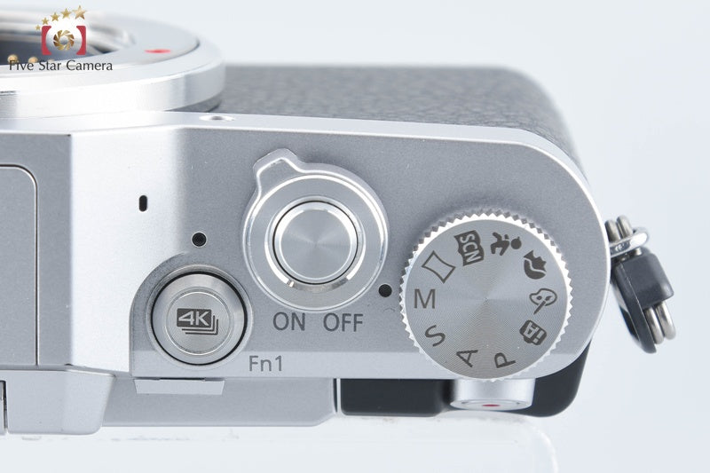 Panasonic LUMIX G DC-GF9W Silver Double Lens Kit (Japanese Language Only)