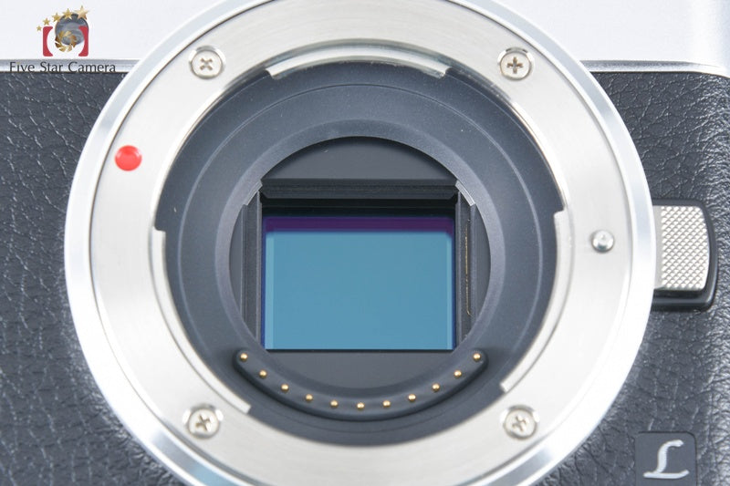 Panasonic LUMIX G DC-GF9W Silver Double Lens Kit (Japanese Language Only)