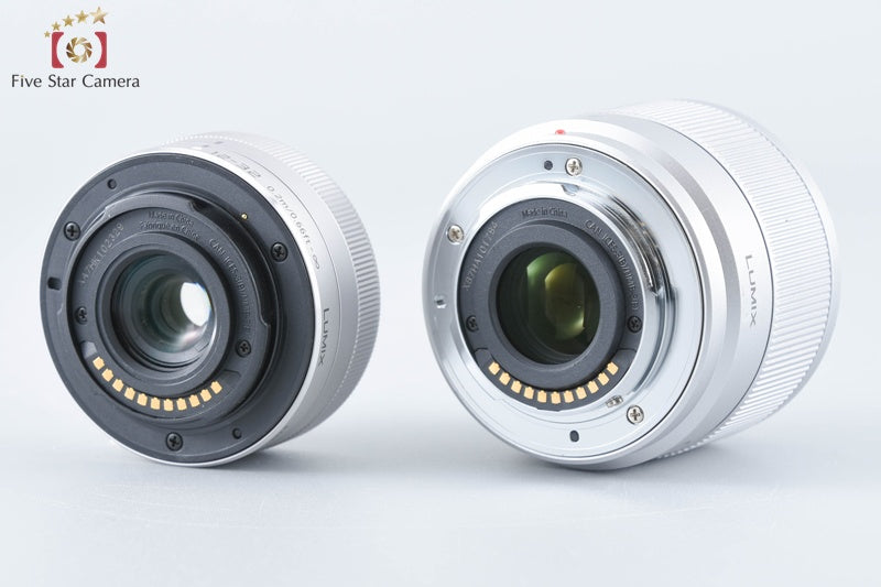 Panasonic LUMIX G DC-GF9W Silver Double Lens Kit (Japanese Language Only)