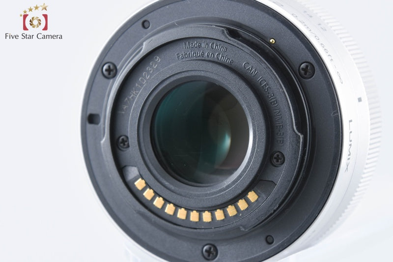 Panasonic LUMIX G DC-GF9W Silver Double Lens Kit (Japanese Language Only)