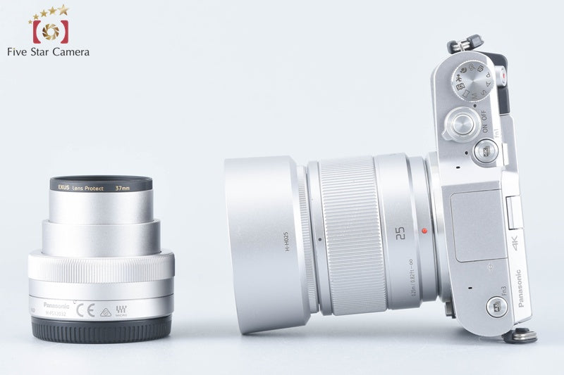 Panasonic LUMIX G DC-GF9W Silver Double Lens Kit (Japanese Language Only)