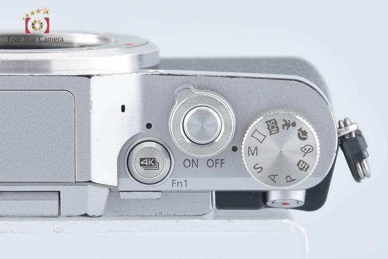 Panasonic LUMIX DC-GF9 Silver Double Lens Kit (Japanese Language Only)