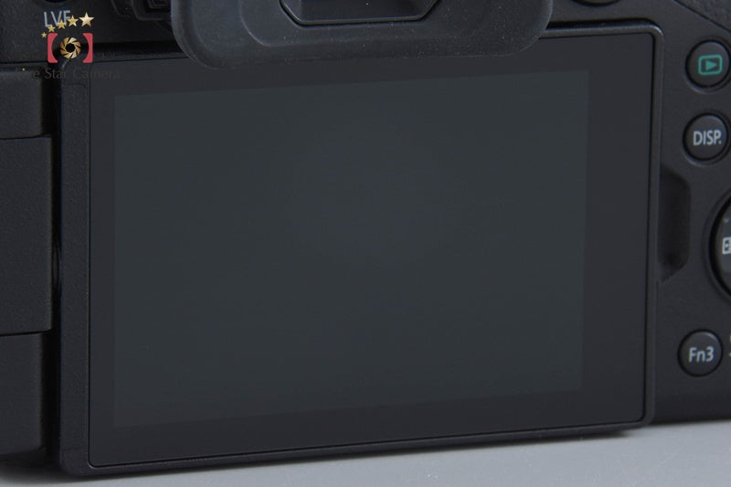 Panasonic LUMIX DMC-FZ300 Black Compact Digital Camera (Japanese Language Only)