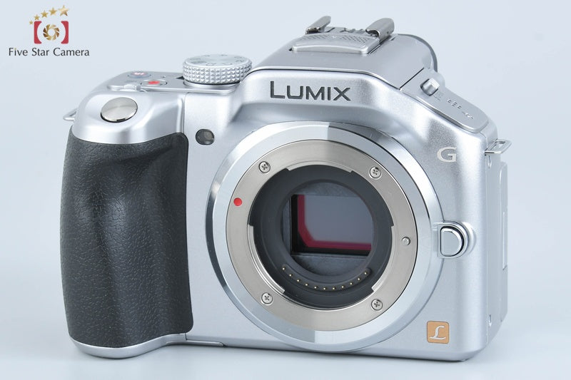 Panasonic LUMIX DMC-G5 Silver Mirrorless Camera (Japanese Language Only)