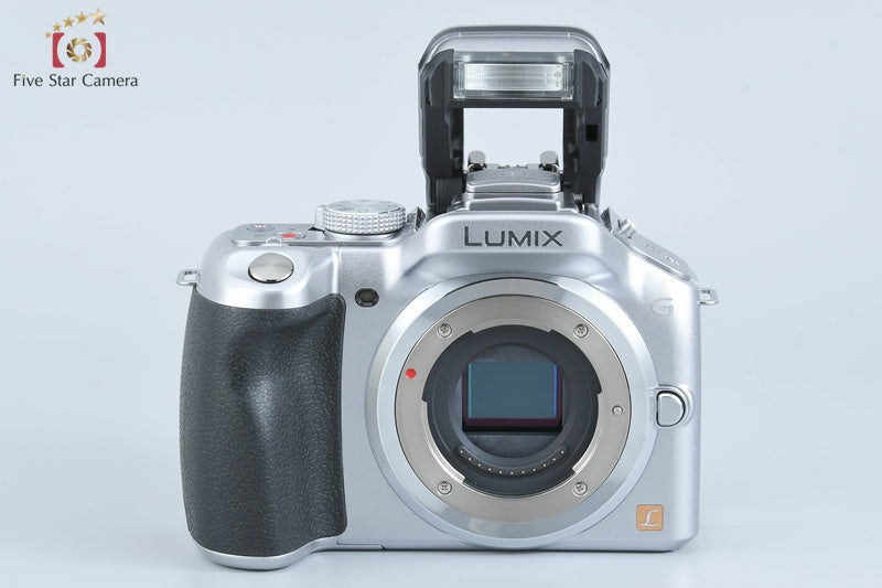 Panasonic LUMIX DMC-G5 Silver Mirrorless Camera (Japanese Language Only)