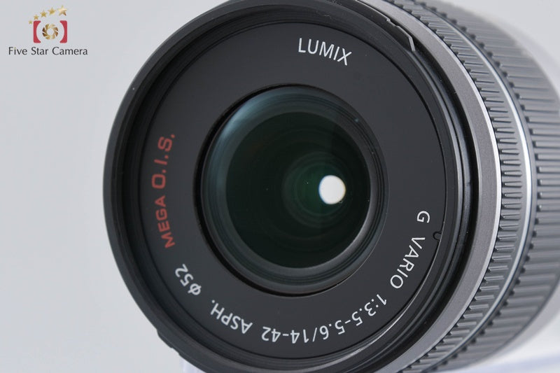 Panasonic LUMIX DMC-G5W Silver Double Zoom Lens Kit (Japanese Language Only)