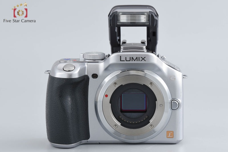 Panasonic LUMIX DMC-G5W Silver Double Zoom Lens Kit (Japanese Language Only)