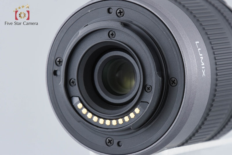 Panasonic LUMIX DMC-GF2 Black + LUMIX G VARIO 14-42 (Japanese Language Only)